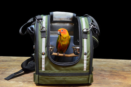 1 parrot backpack Celltei X-Small