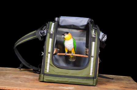 2 parrot backpack Celltei Small