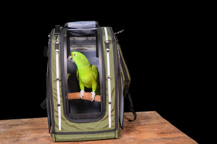 Celltei papegaaien rugtas van pak-o-bird 1