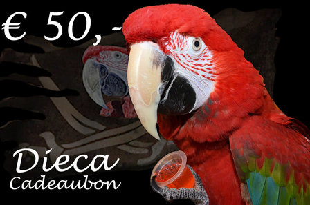 4* Dieca cadeaubon &euro; 50,-