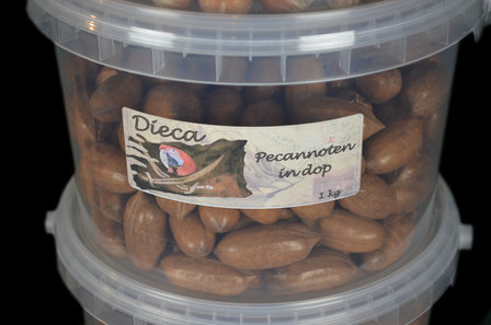 Pecans in shell 1 kg 