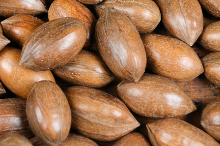 Pecans in shell 1 kg 