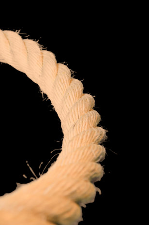 Papegaaienspeelgoed touw