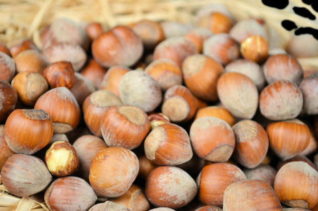 Hazelnuts in shell 1 kg 