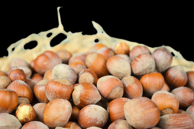 Hazelnuts in shell 1 kg 