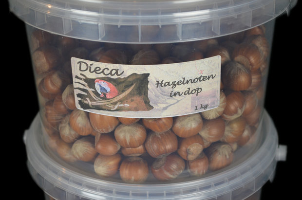 Hazelnuts in shell 1 kg 