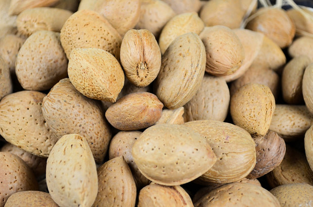 Almonds in shell 1 kg 